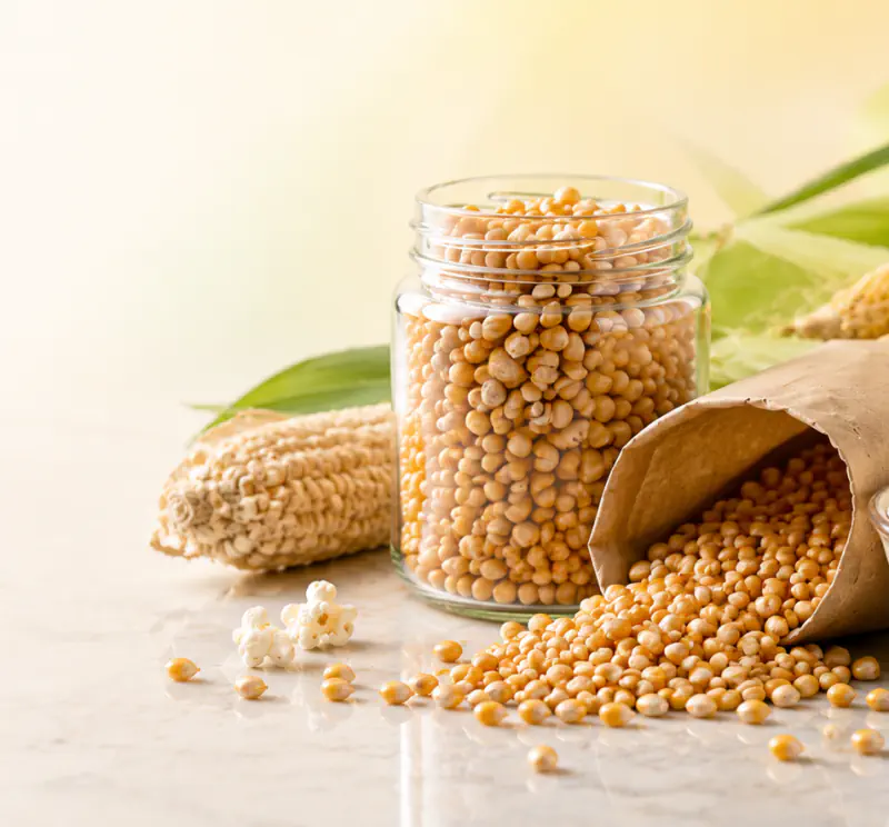 Organic Popcorn Kernels