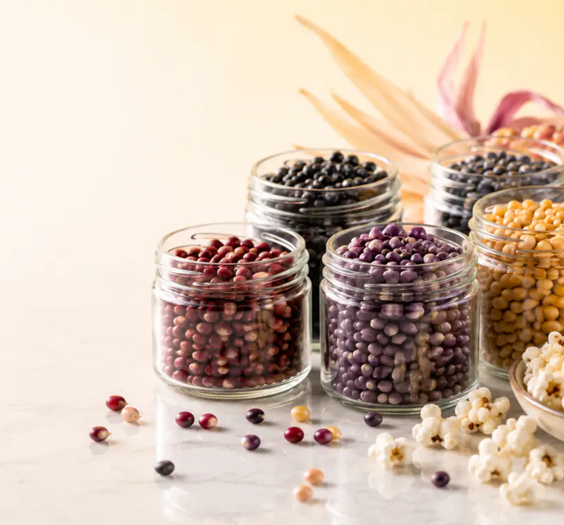 Colorful Popcorn Kernels